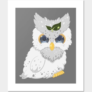 The little white owl- for Men or Women Kids Boys Girls love owl Posters and Art